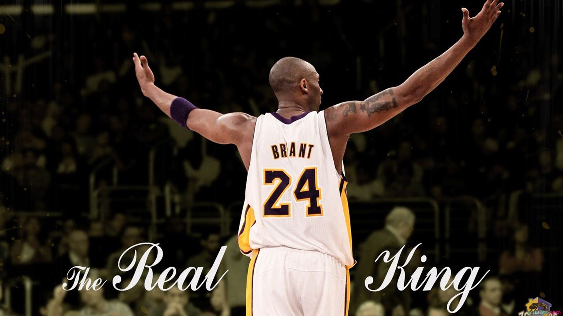 NBA赛季投篮效率排行榜，nba投球排名